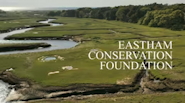 EasthamConservationTrust